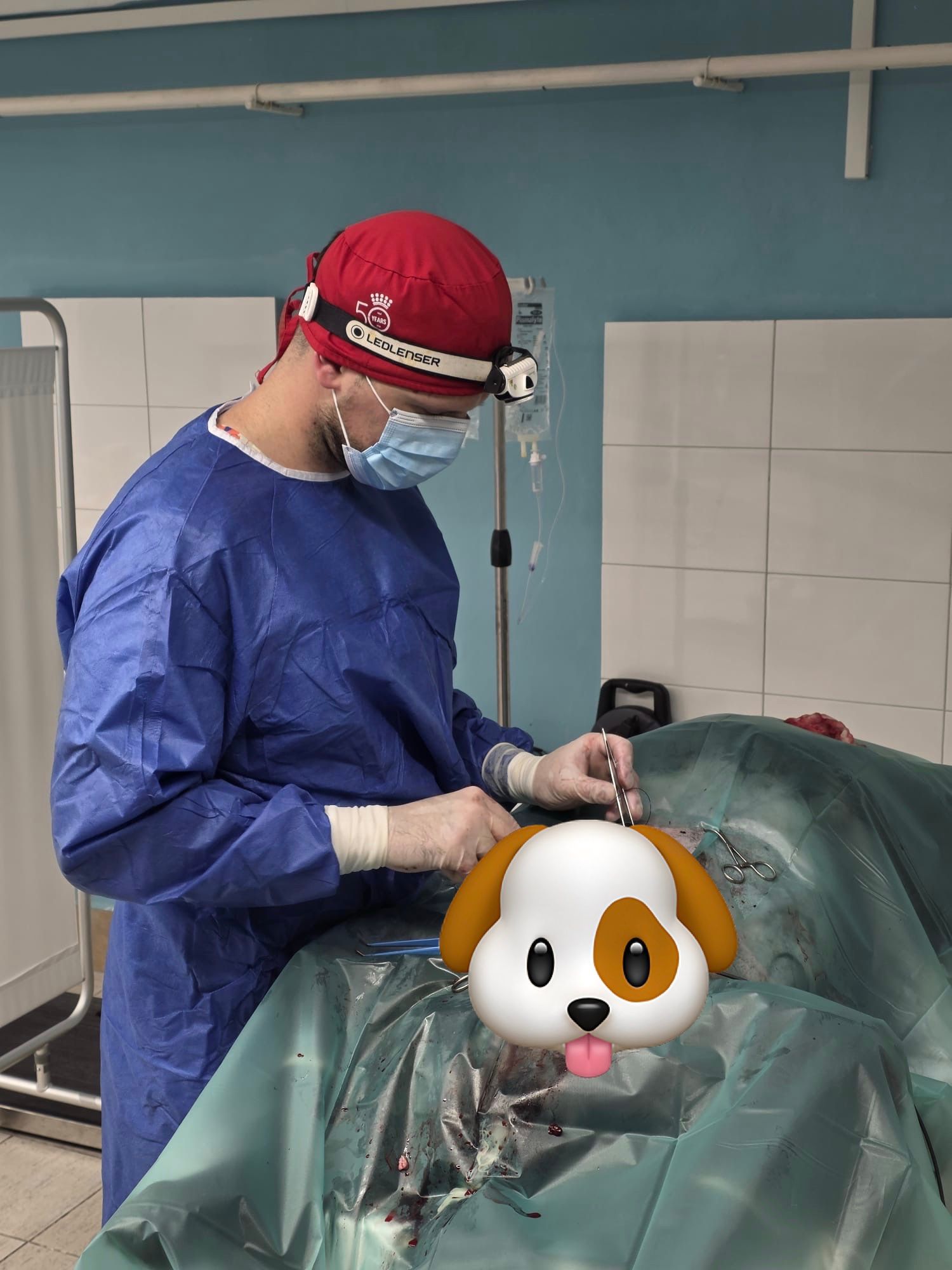 MVDr. Erik Soska s čelovou lampou a v operačnom plášti počas operácie